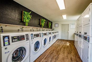 *New* laundry facility